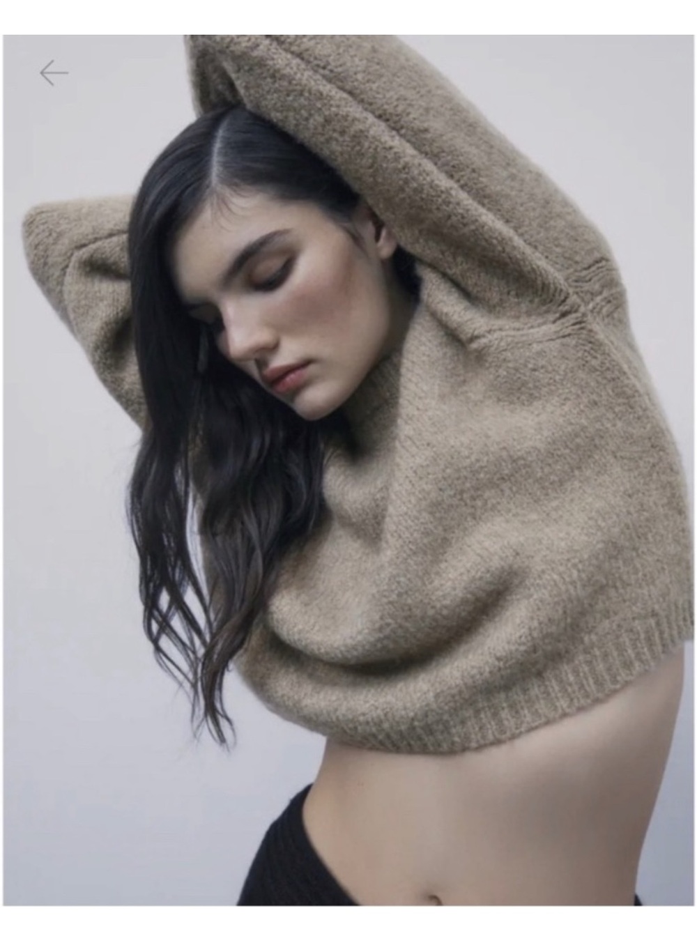 Zara Tan Brown Crop Alpaca Wool Blend Sweater